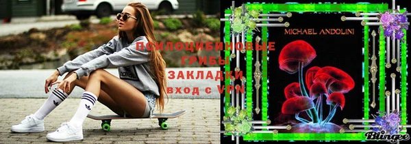 дурь Лабытнанги