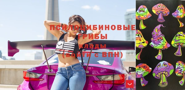 соль курить ск Ладушкин
