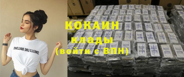 дурь Лабытнанги