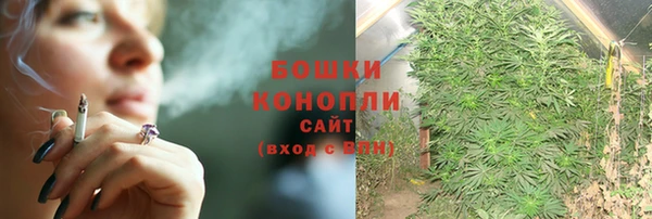 дурь Лабытнанги