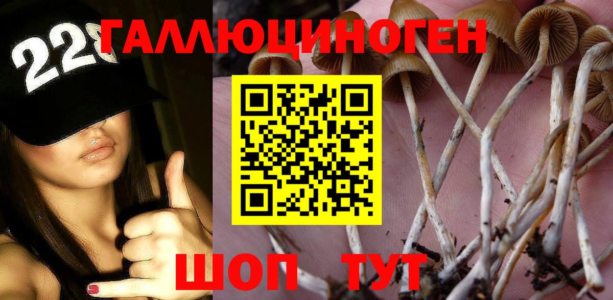 купить наркотики сайты  Псилоцибиновые грибы мухоморы  Вход с VPN  Лобня 