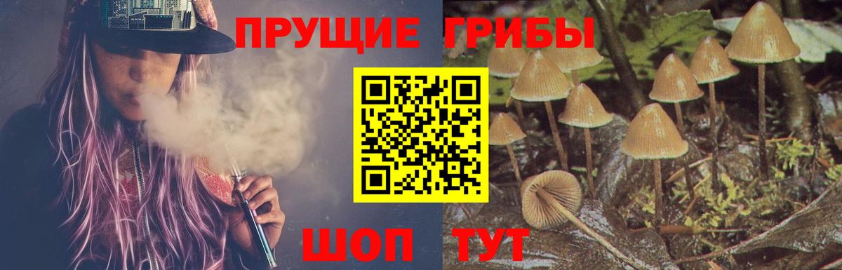 Галлюциногенные грибы Psilocybe Лобня
